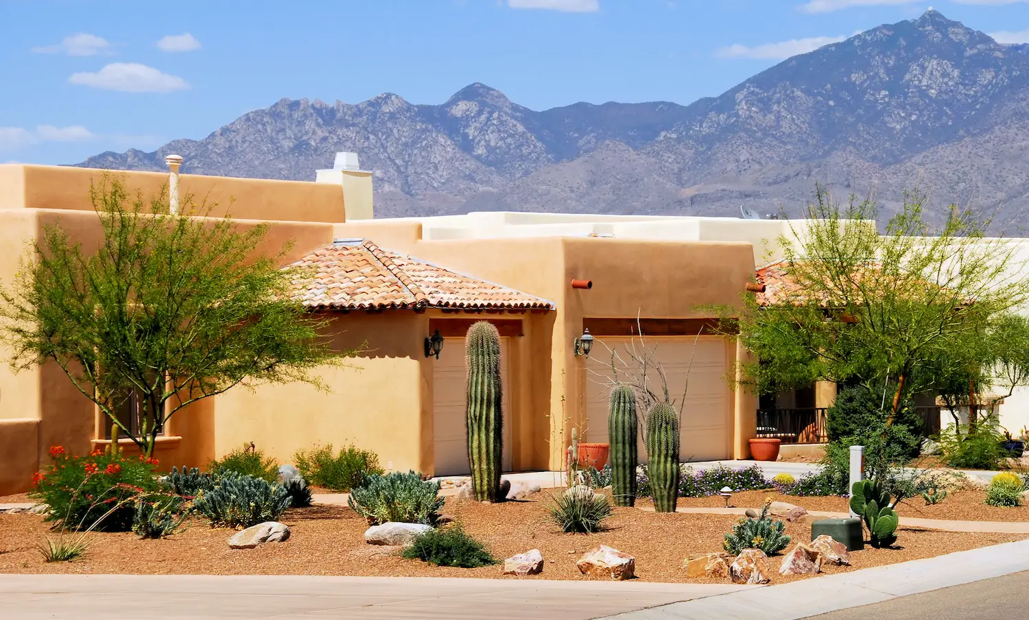 Surprise Property Management